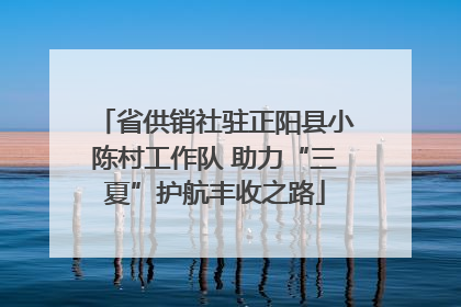 省供销社驻正阳县小陈村工作队 助力“三夏”护航丰收之路